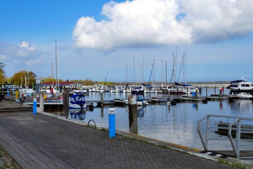 Wohnen Im Hafen Von Barth Mit Gemuetlicher Terrasse بارث المظهر الخارجي الصورة